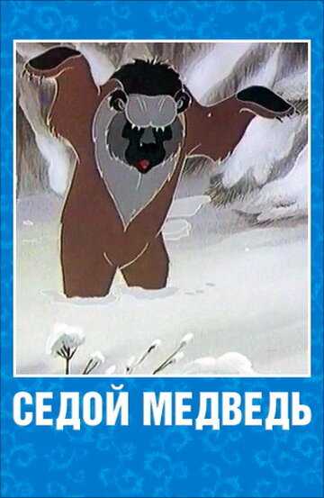 Седой медведь